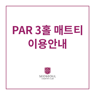 PAR3홀-매트티-이용